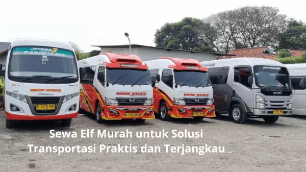 Sewa Elf Murah untuk Solusi Transportasi Praktis dan Terjangkau