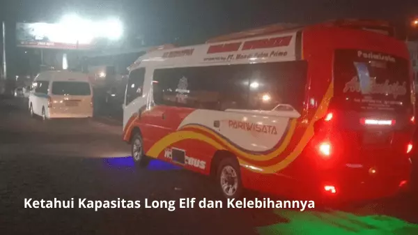 Ketahui Kapasitas Long Elf dan Kelebihannya